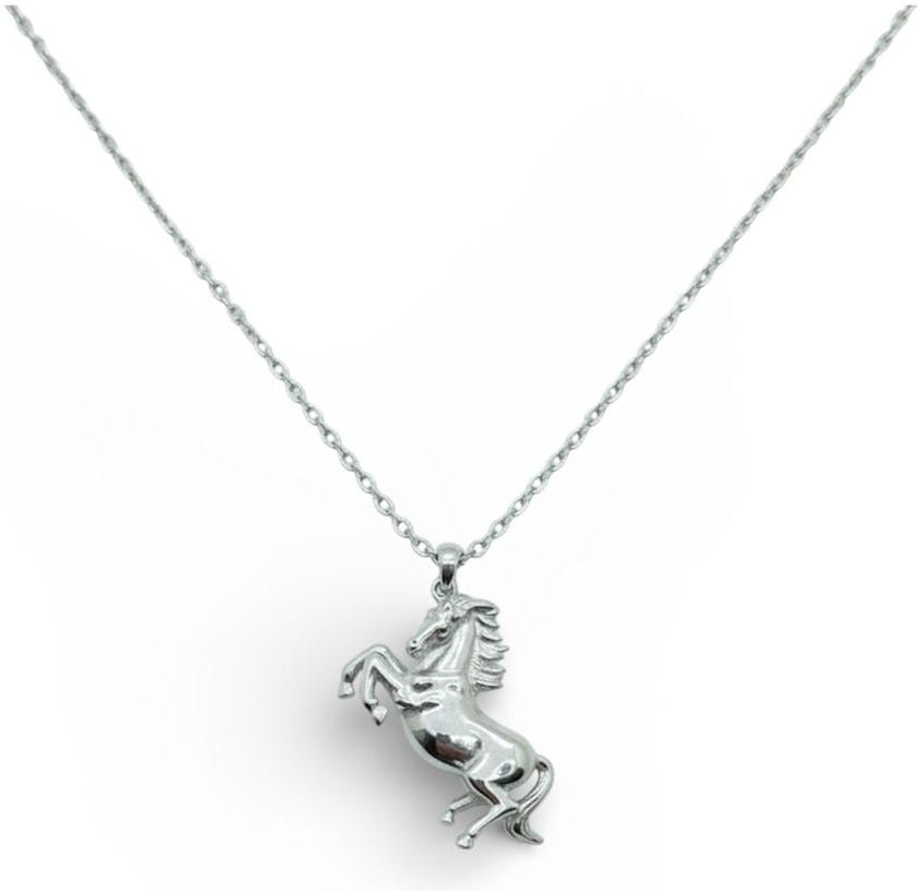 At Kolye-Gümüş rengi